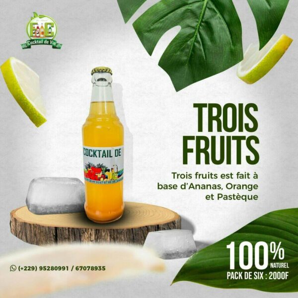 TROIS FRUITS(Pack de 6)