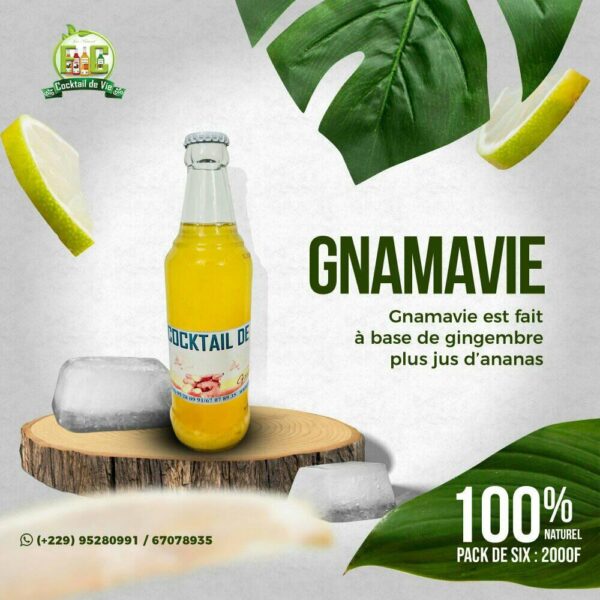 GNAMAVIE (Pack de 6)